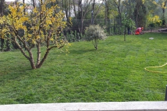 Realizzazione giardino